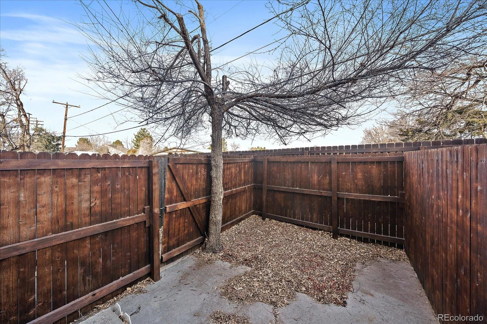 3738 Miller Court Wheat Ridge CO 80033