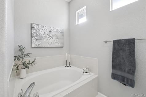 224 Whitehaven Circle Highlands Ranch CO 80129