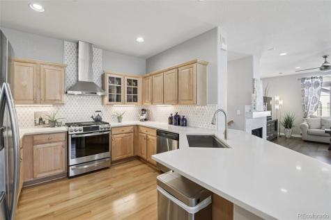 224 Whitehaven Circle Highlands Ranch CO 80129