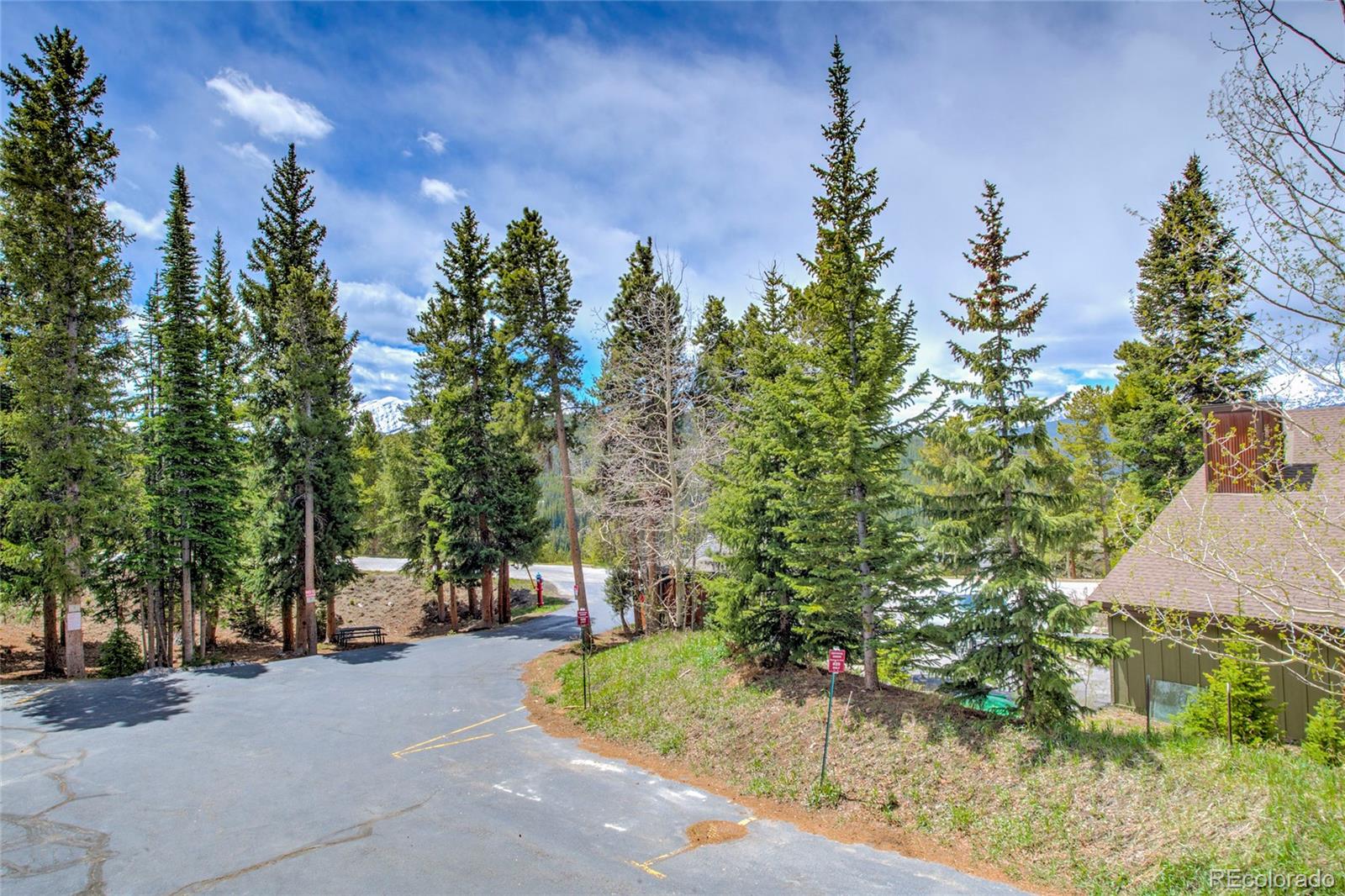 29 Washington Lode Breckenridge CO 80424