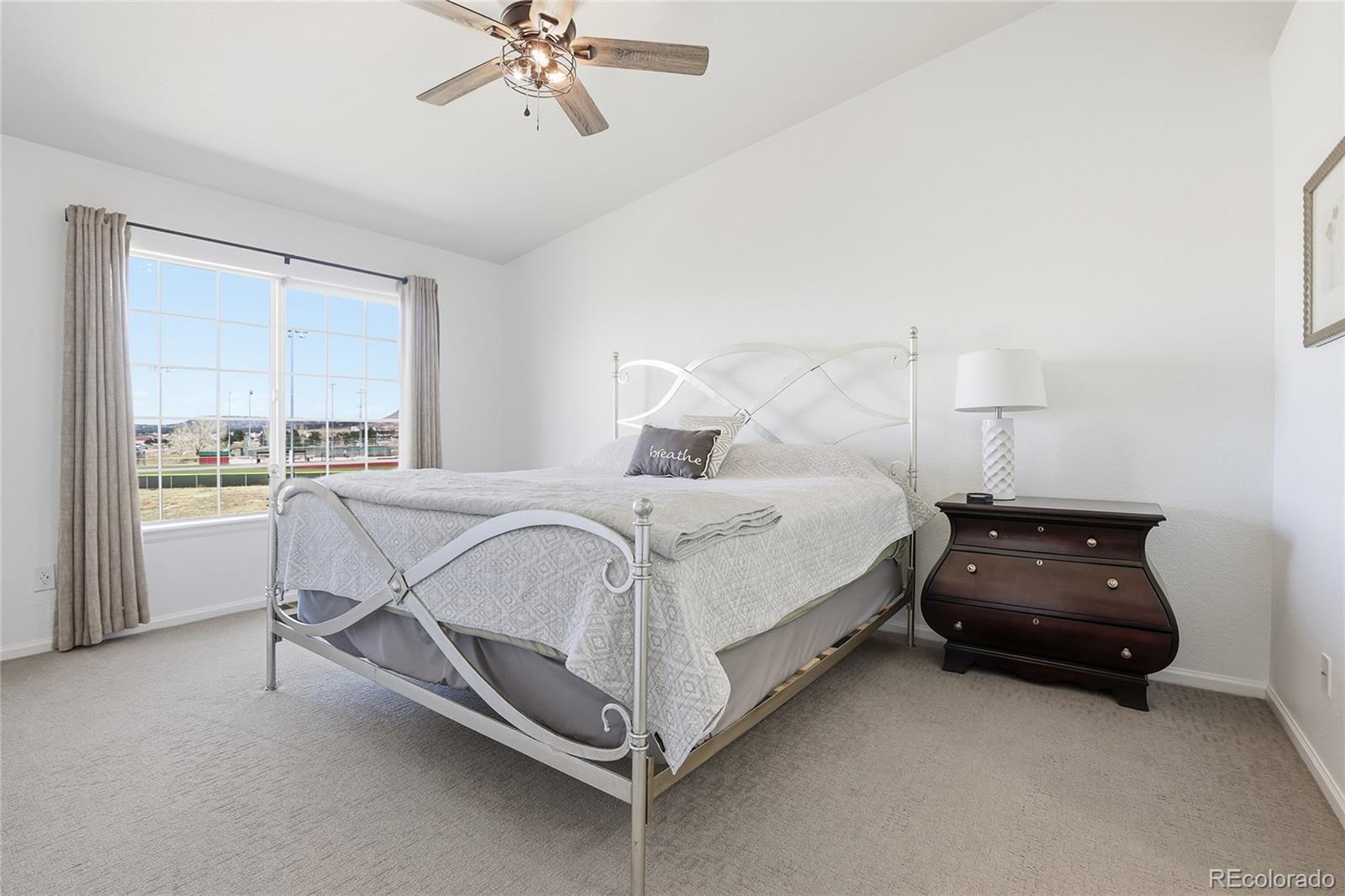 488 Black Feather Loop Castle Rock CO 80104