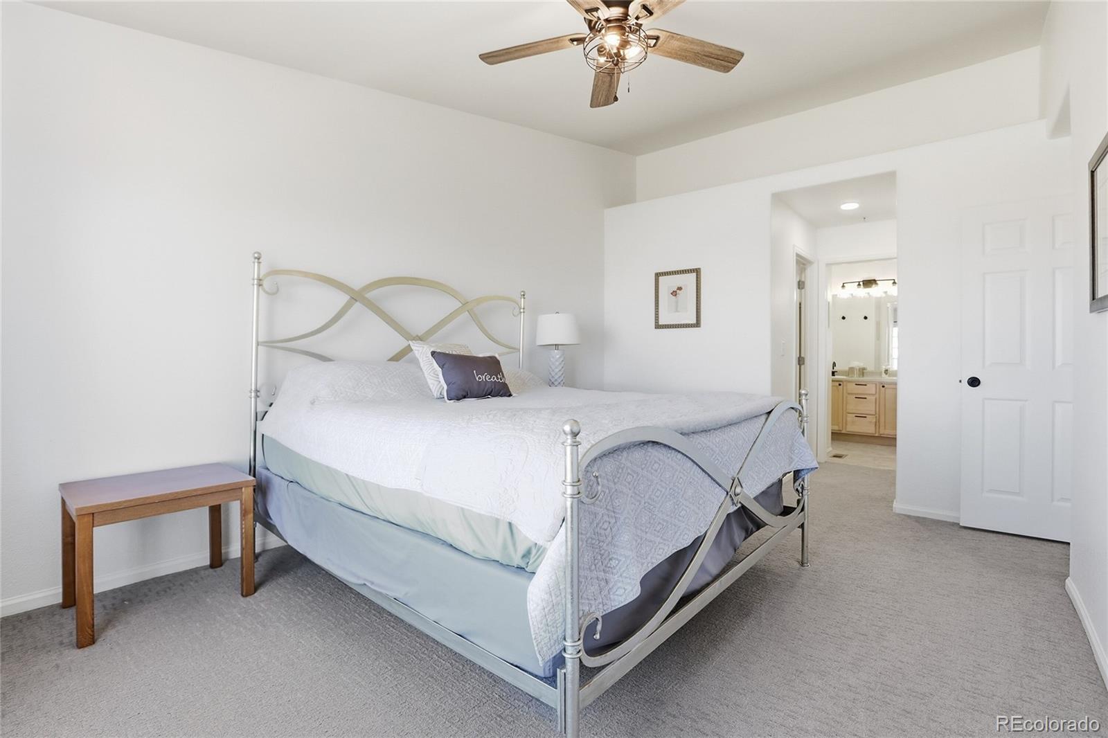 488 Black Feather Loop Castle Rock CO 80104