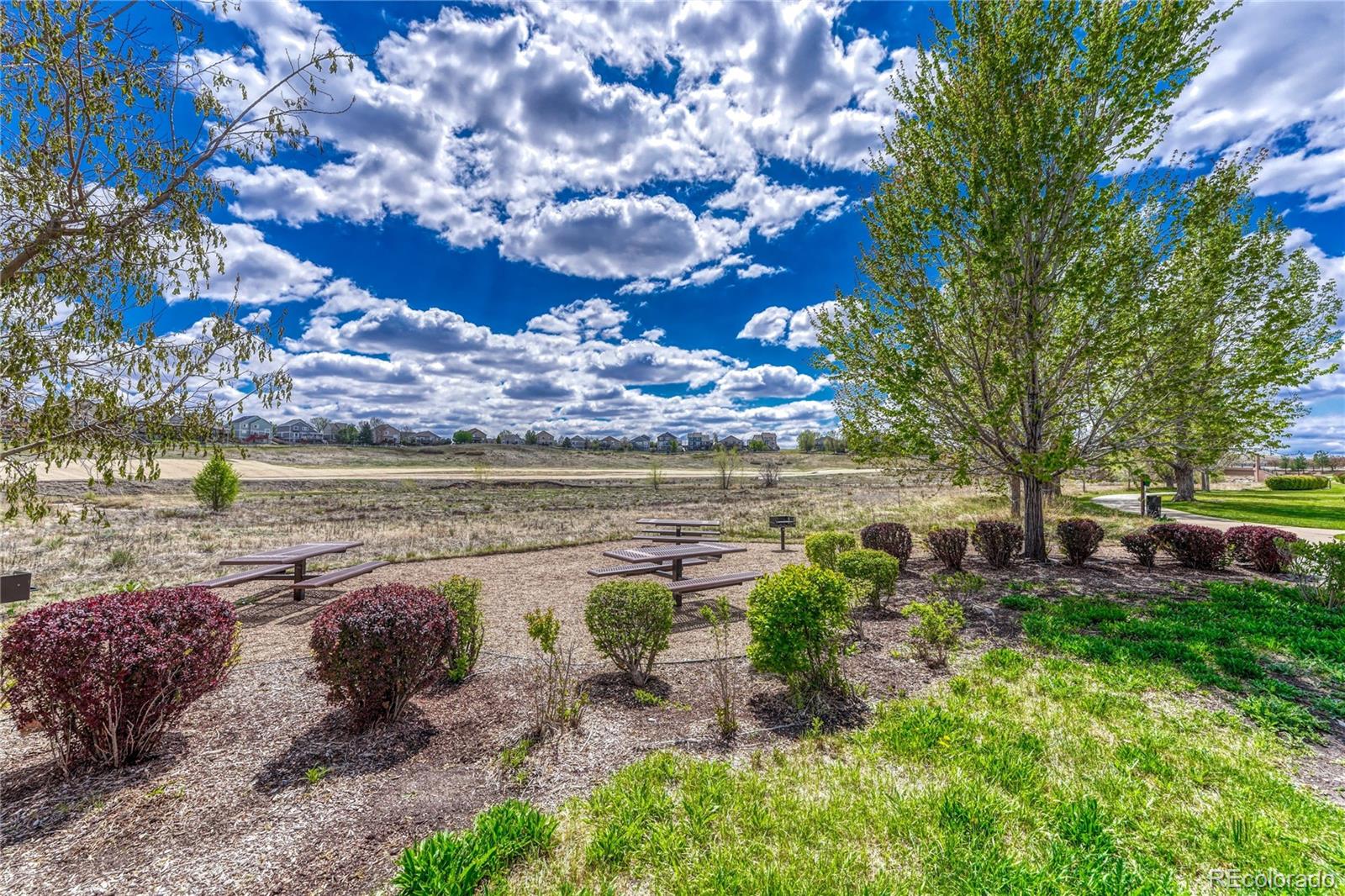 8460 Canyon Rim Trail Englewood CO 80112
