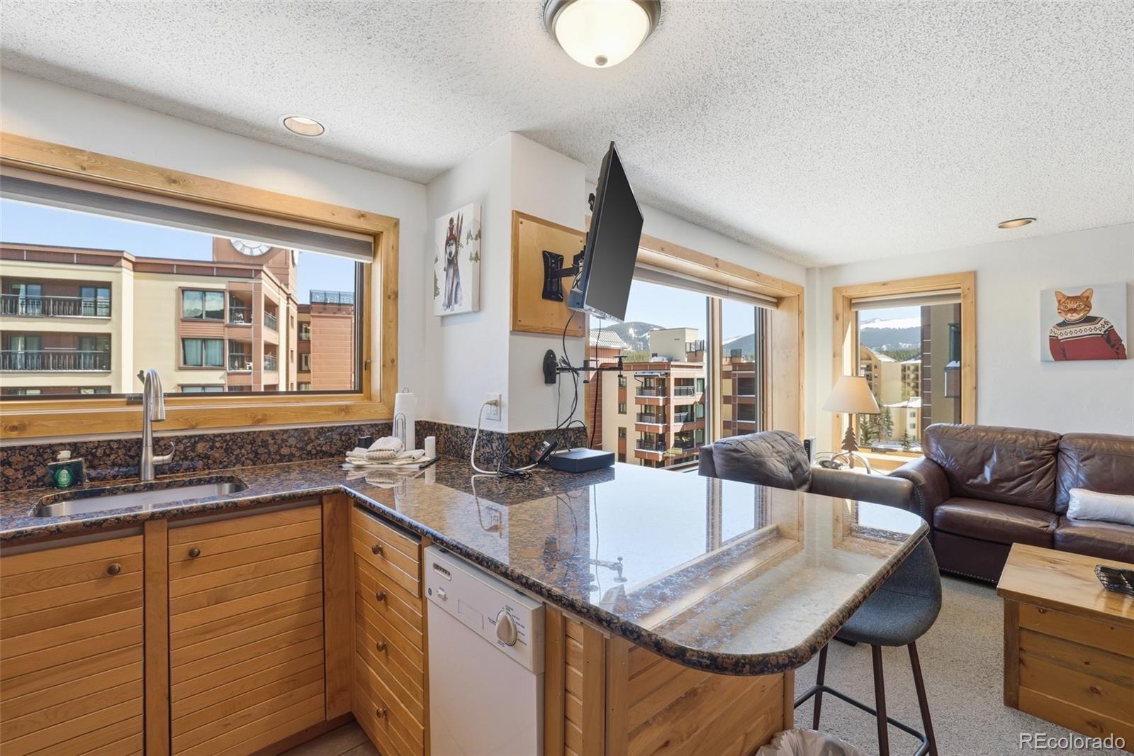 535 S Park Avenue Breckenridge CO 80424