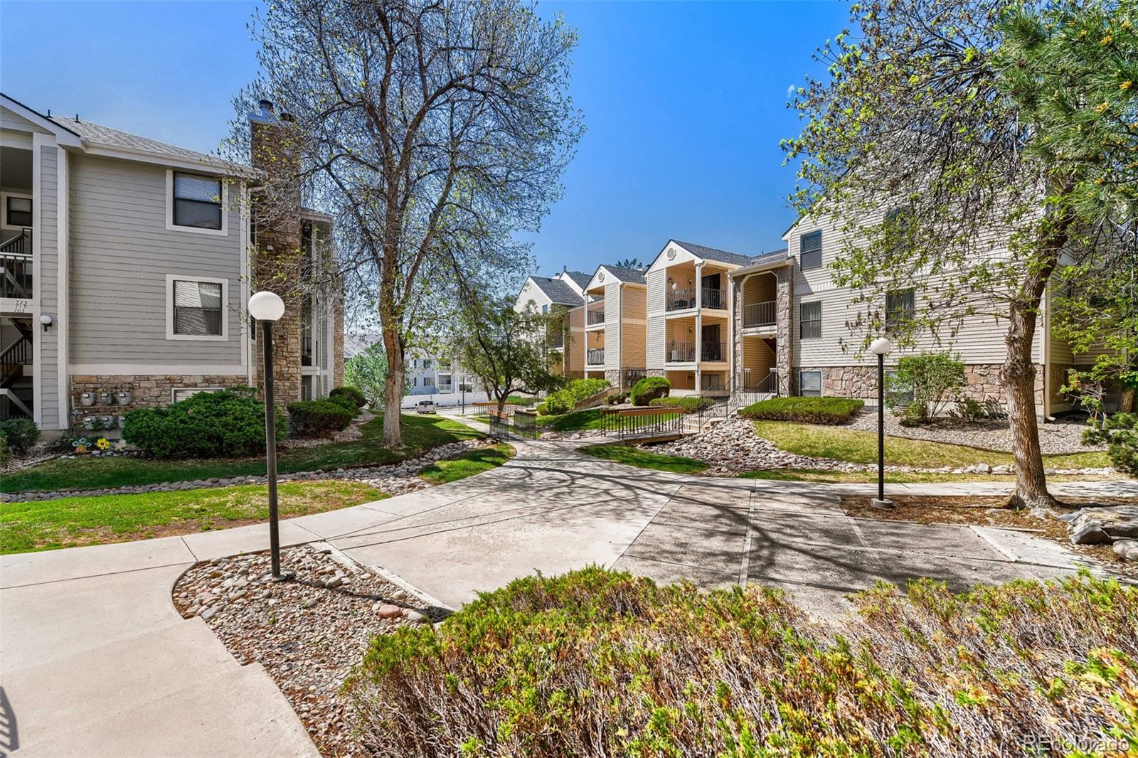 6705 S Field Street Littleton CO 80128