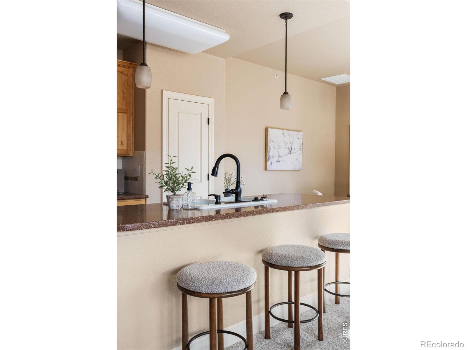 1379 Charles Drive Longmont CO 80503