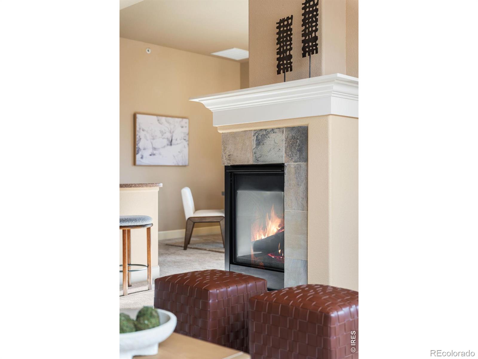 1379 Charles Drive Longmont CO 80503