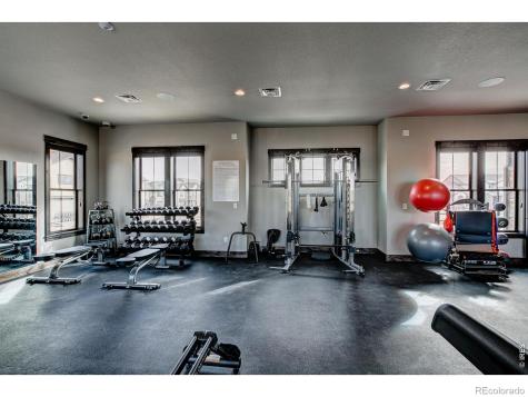 6227 Vernazza Way Windsor CO 80550