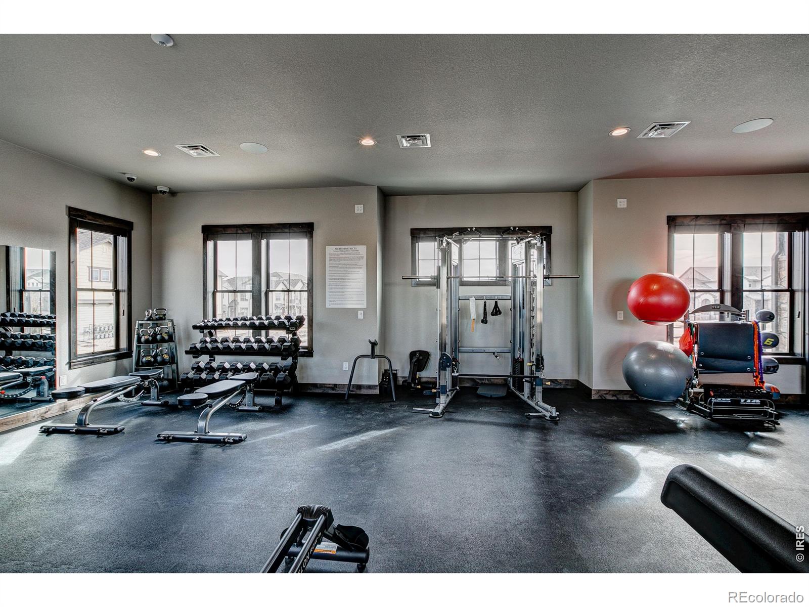 6227 Vernazza Way Windsor CO 80550