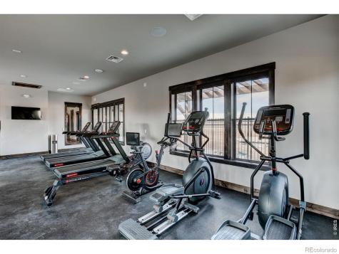 6227 Vernazza Way Windsor CO 80550