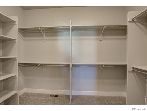 6227 Vernazza Way Windsor CO 80550