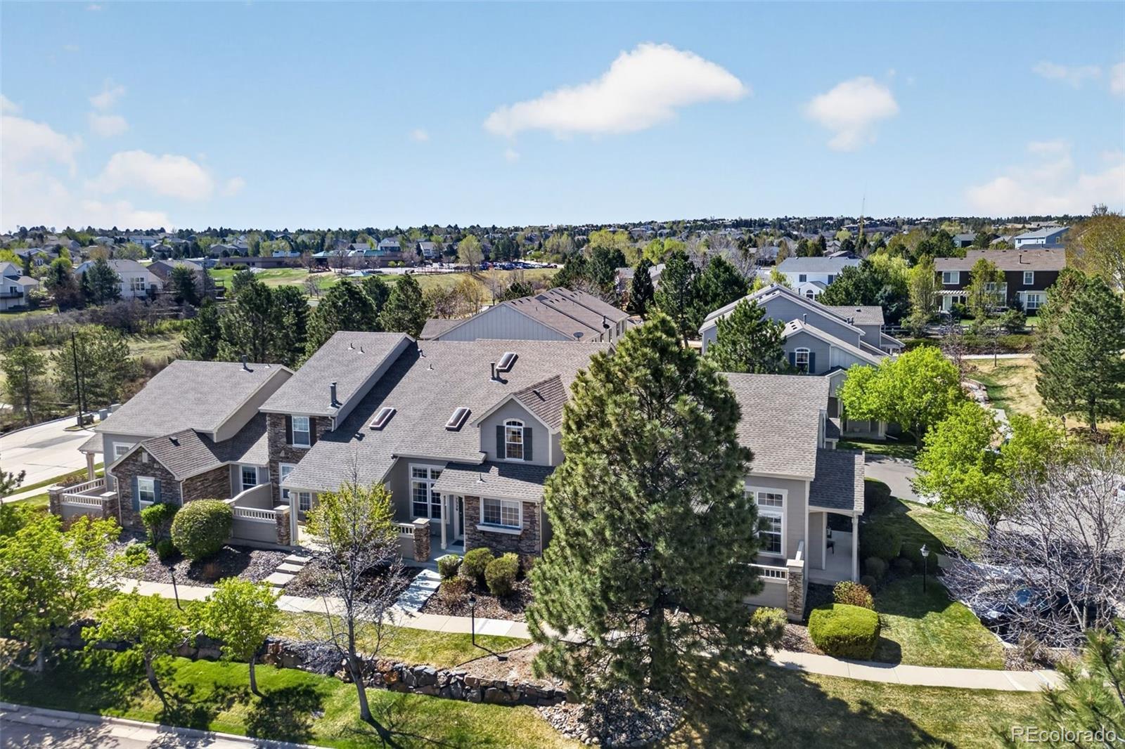 7329 Norfolk Place Castle Pines CO 80108