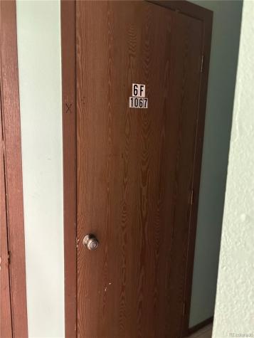 1067 Ingalls Street Lakewood CO 80214