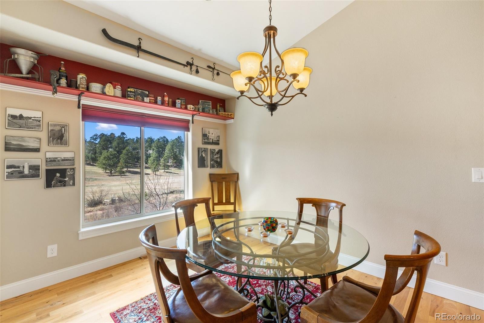 1310 Longs Point Woodland Park CO 80863