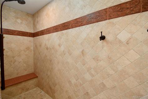 9339 Viaggio Way Highlands Ranch CO 80126
