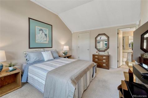 145 Blue Spruce Court Highlands Ranch CO 80126