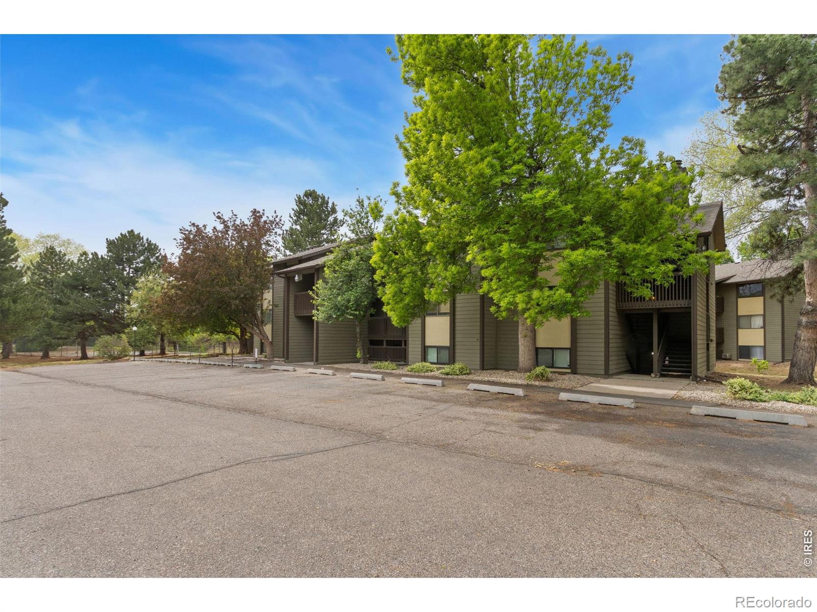 925 Columbia Road Fort Collins CO 80525
