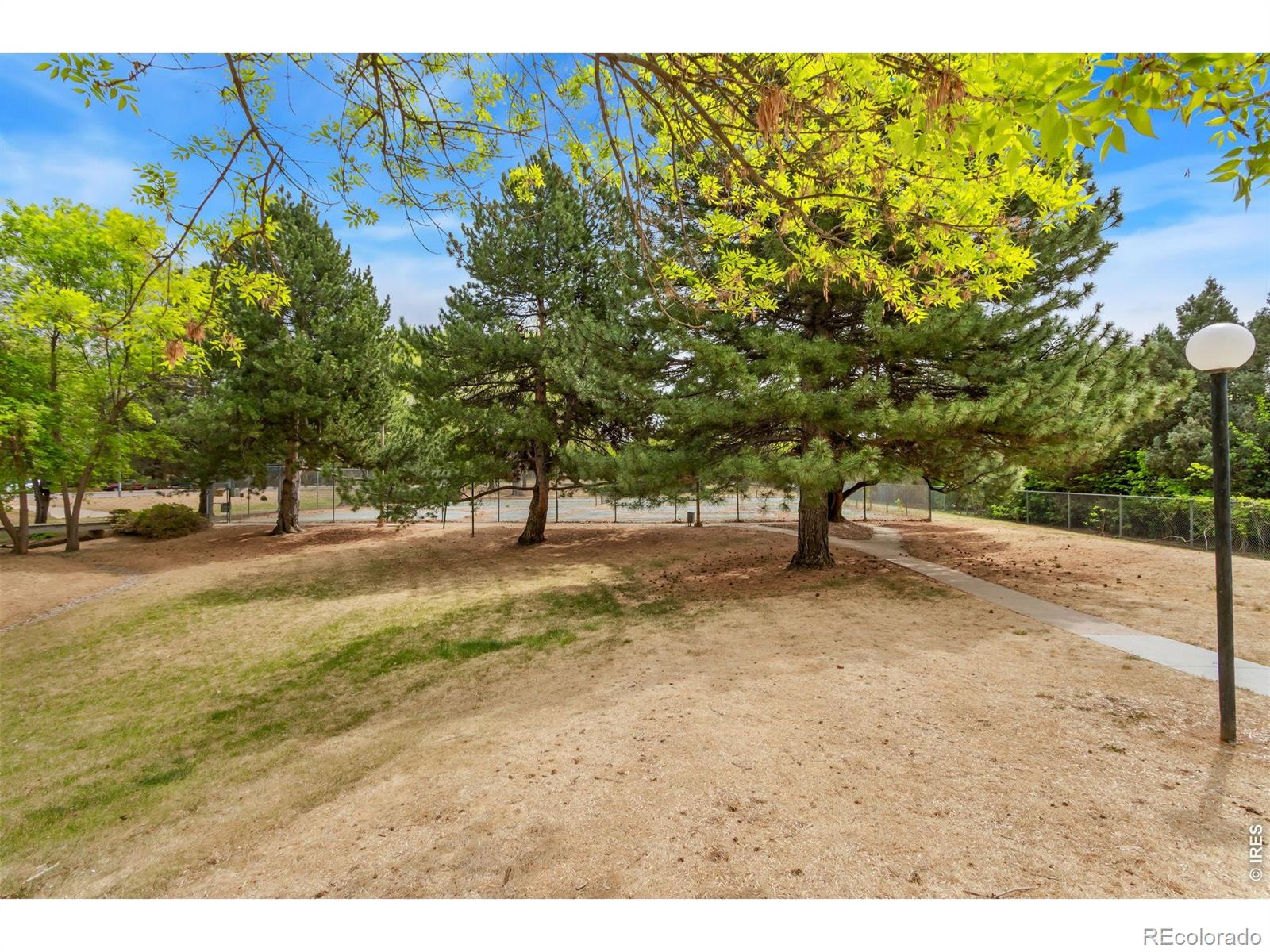 925 Columbia Road Fort Collins CO 80525