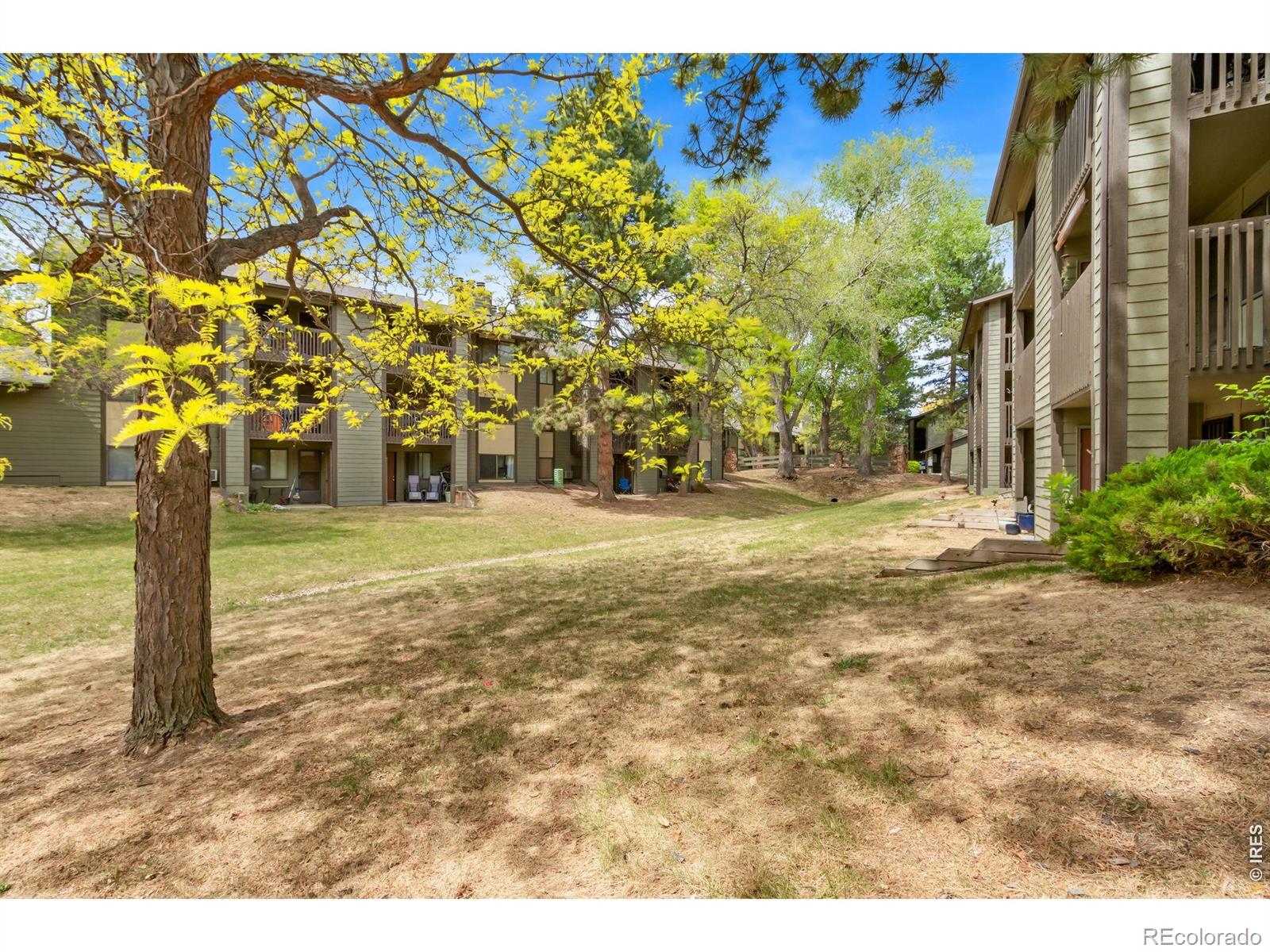 925 Columbia Road Fort Collins CO 80525