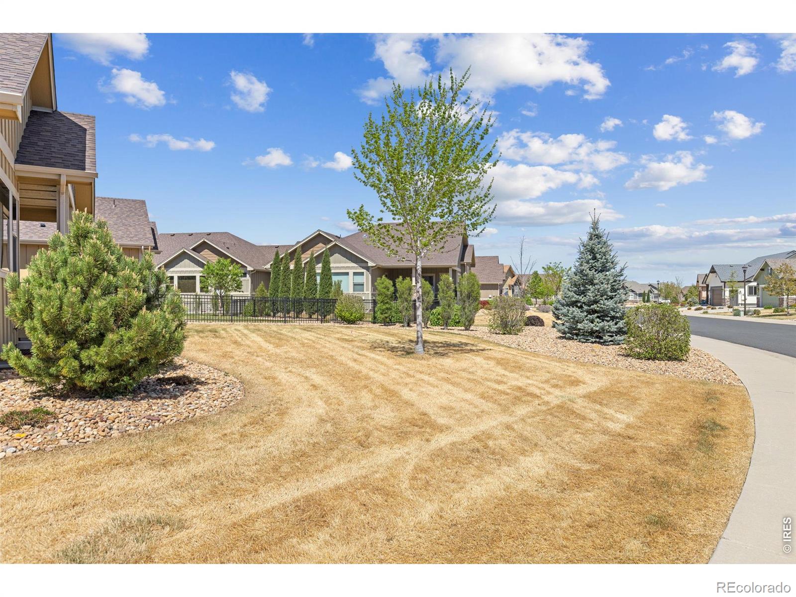 3681 Saguaro Drive Loveland CO 80537