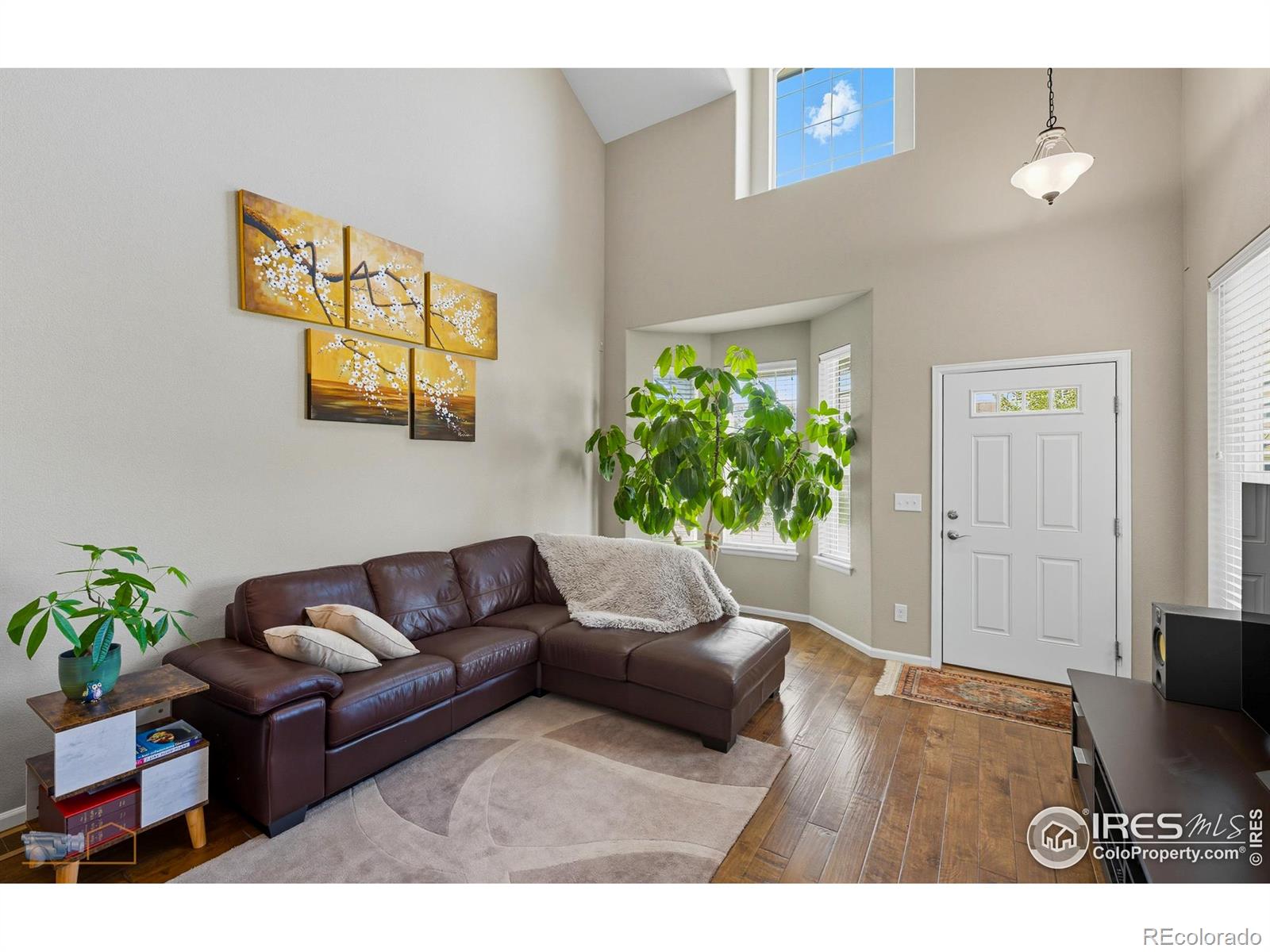 4859 Raven Run Broomfield CO 80023
