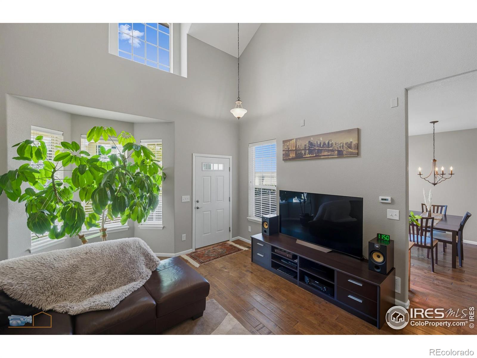 4859 Raven Run Broomfield CO 80023