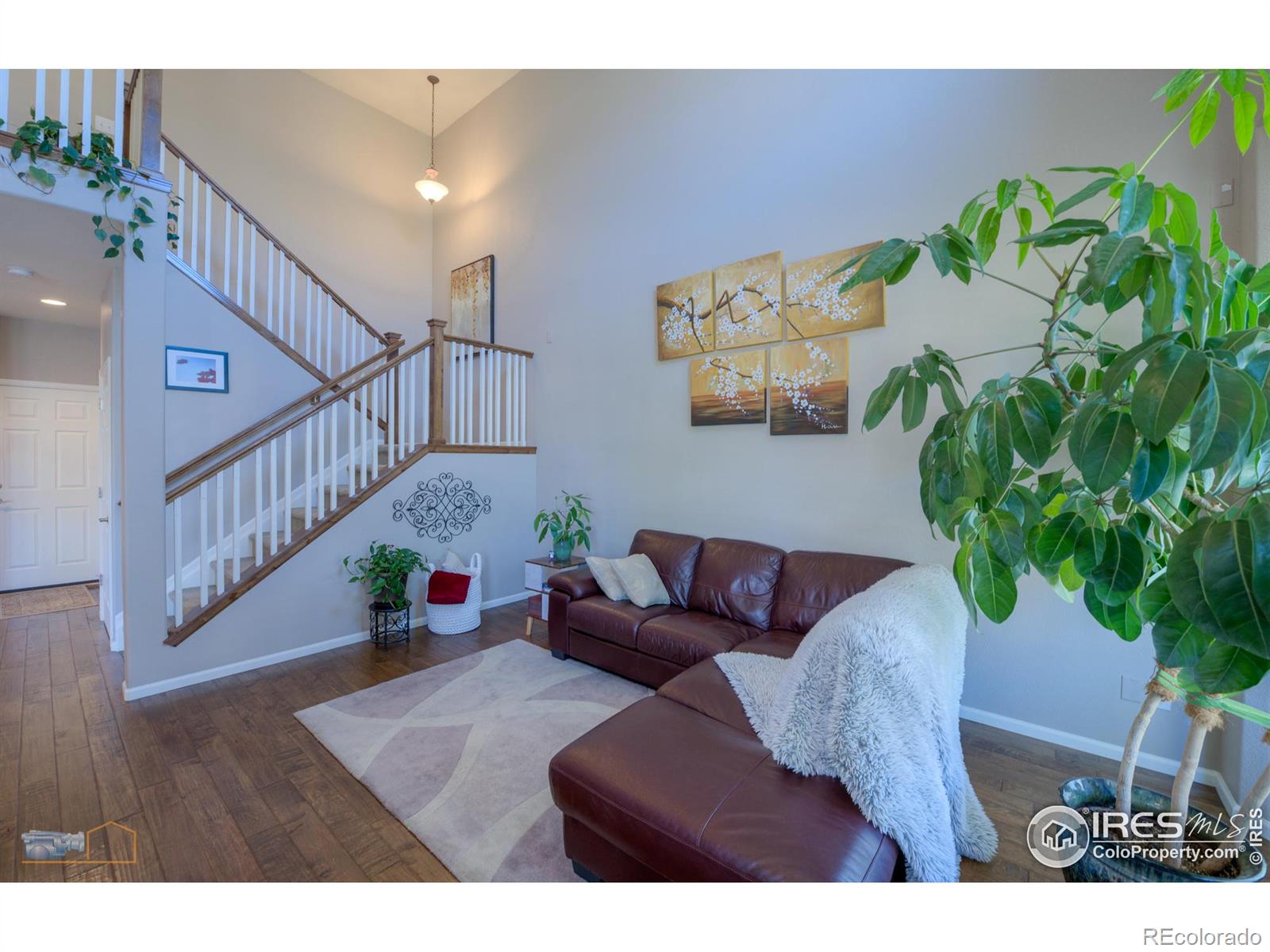 4859 Raven Run Broomfield CO 80023