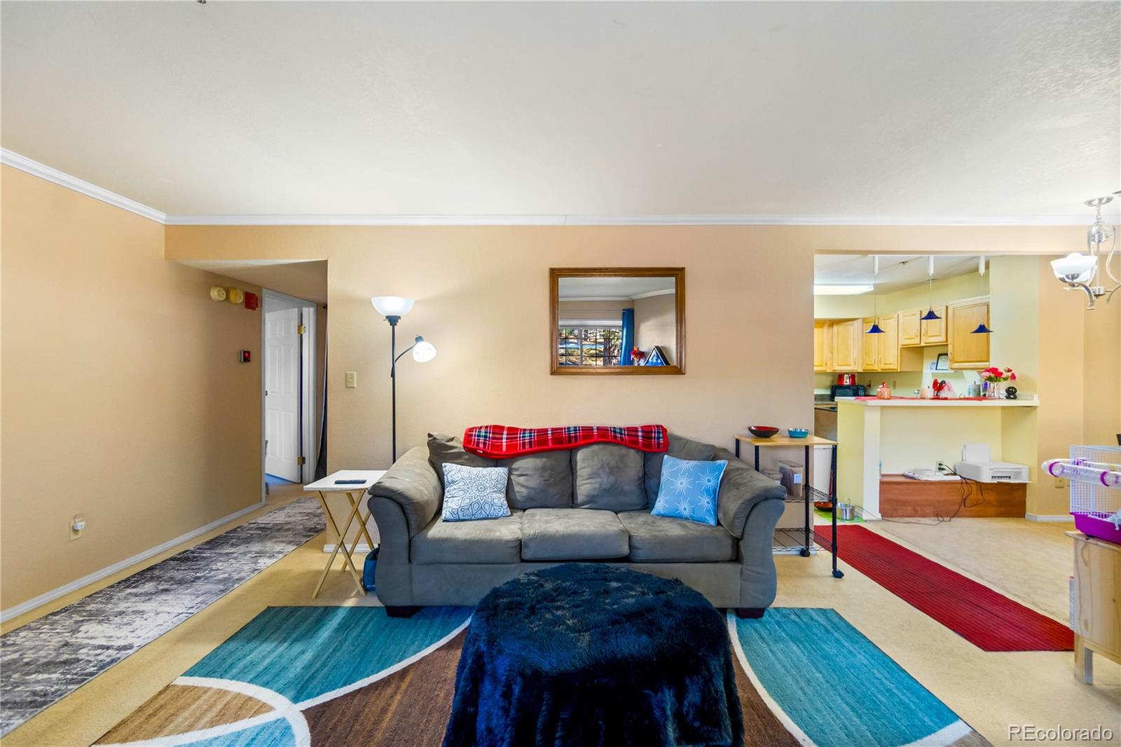 2170 Alicia Point Colorado Springs CO 80919
