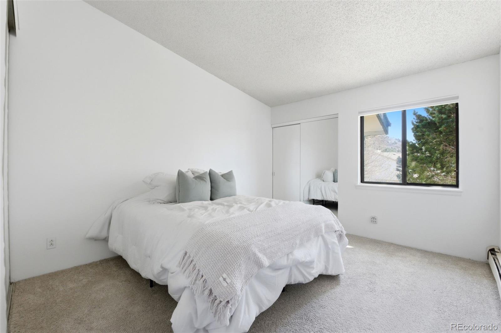532 Oakwood Drive Castle Rock CO 80104