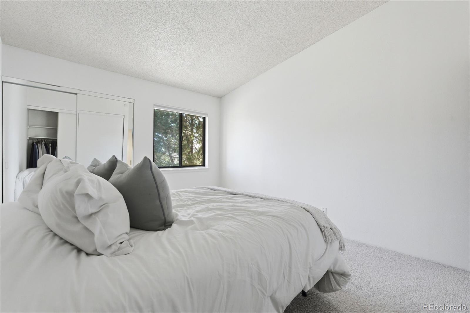 532 Oakwood Drive Castle Rock CO 80104