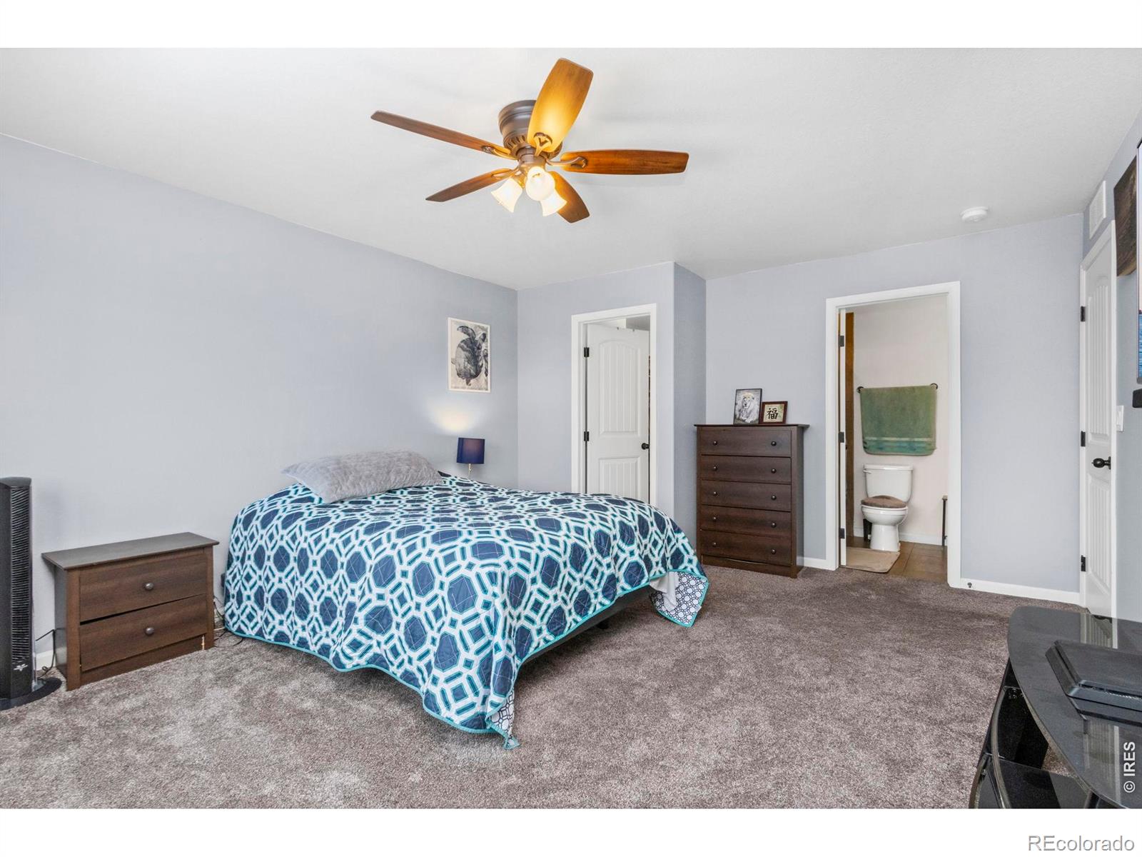 3147 Alybar Drive Wellington CO 80549