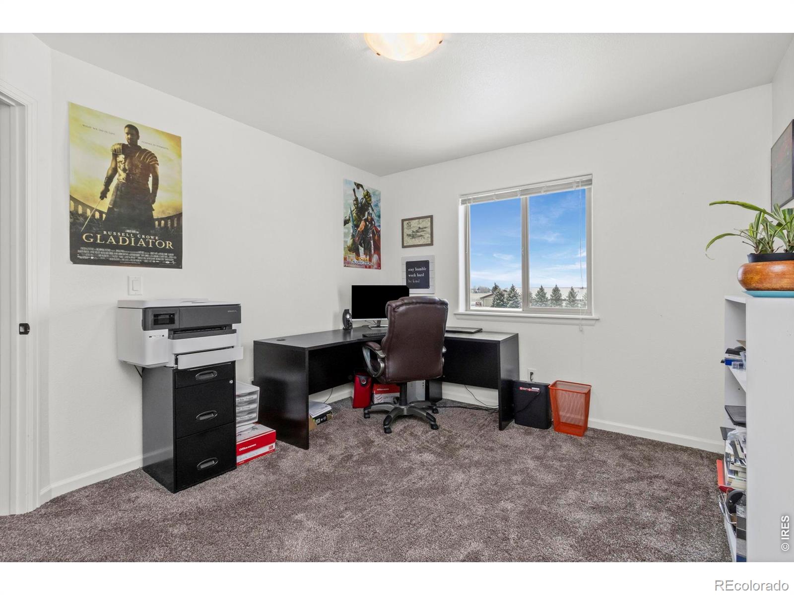3147 Alybar Drive Wellington CO 80549