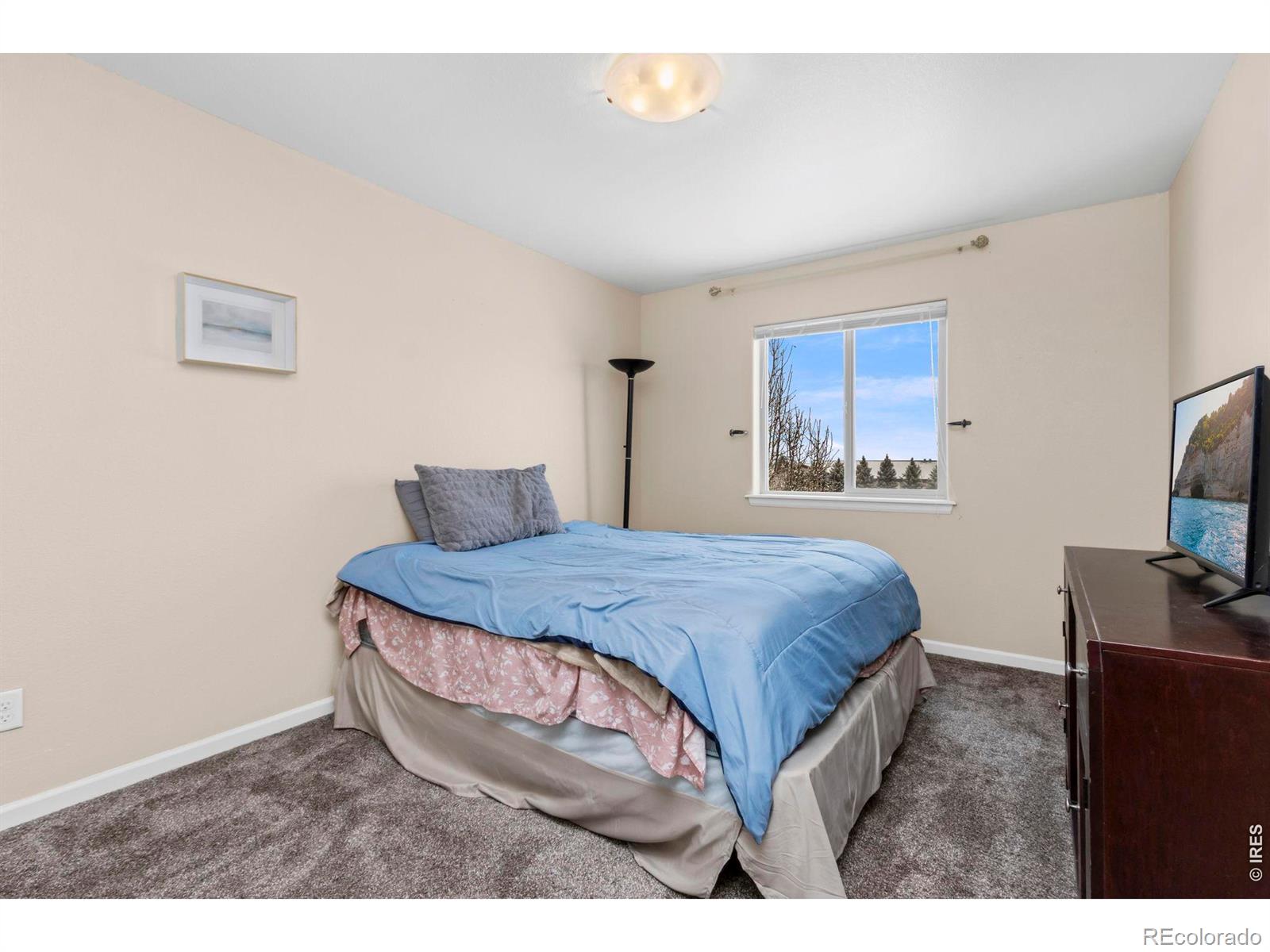 3147 Alybar Drive Wellington CO 80549