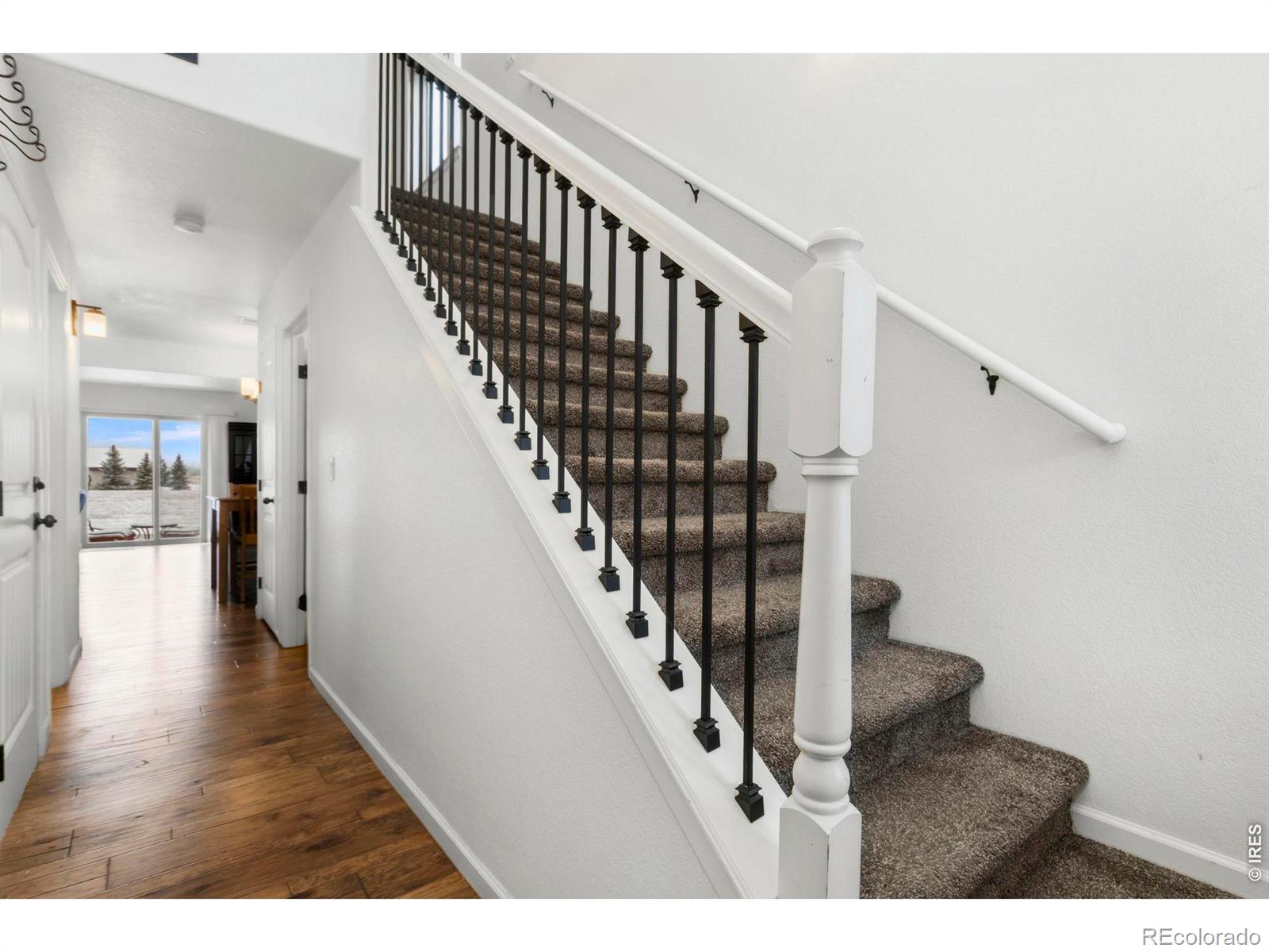 3147 Alybar Drive Wellington CO 80549