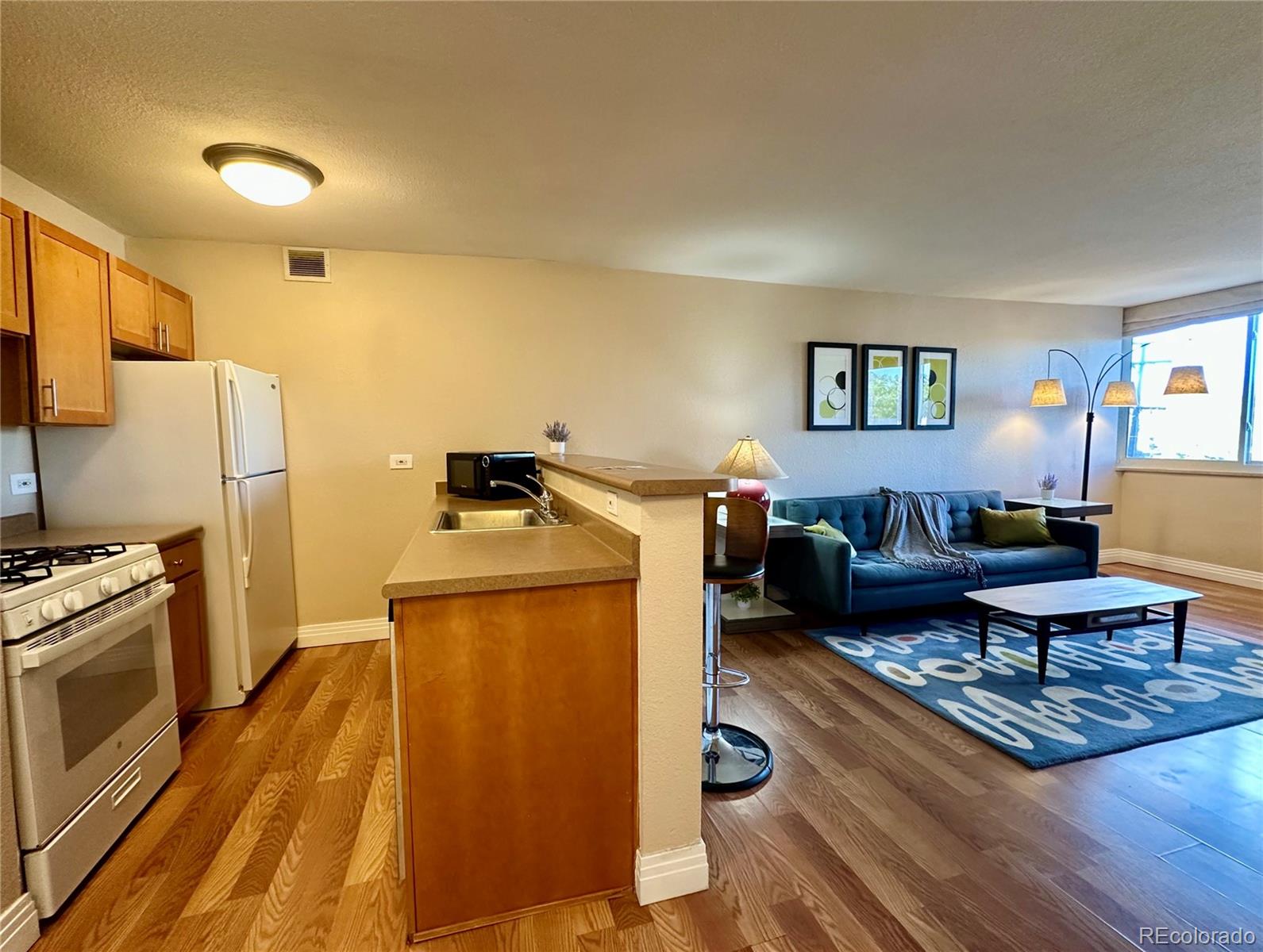 1196 N Grant Street Denver CO 80203