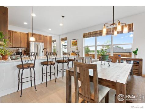 1646 Winona Court Denver CO 80204