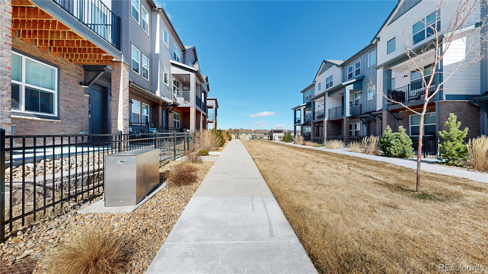 7008 Ipswich Court Castle Pines CO 80108