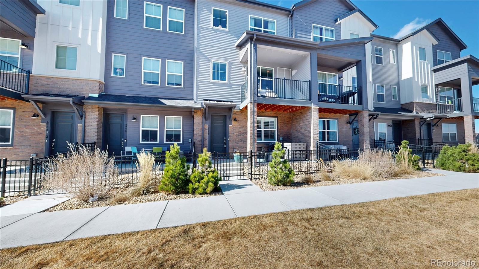 7008 Ipswich Court Castle Pines CO 80108