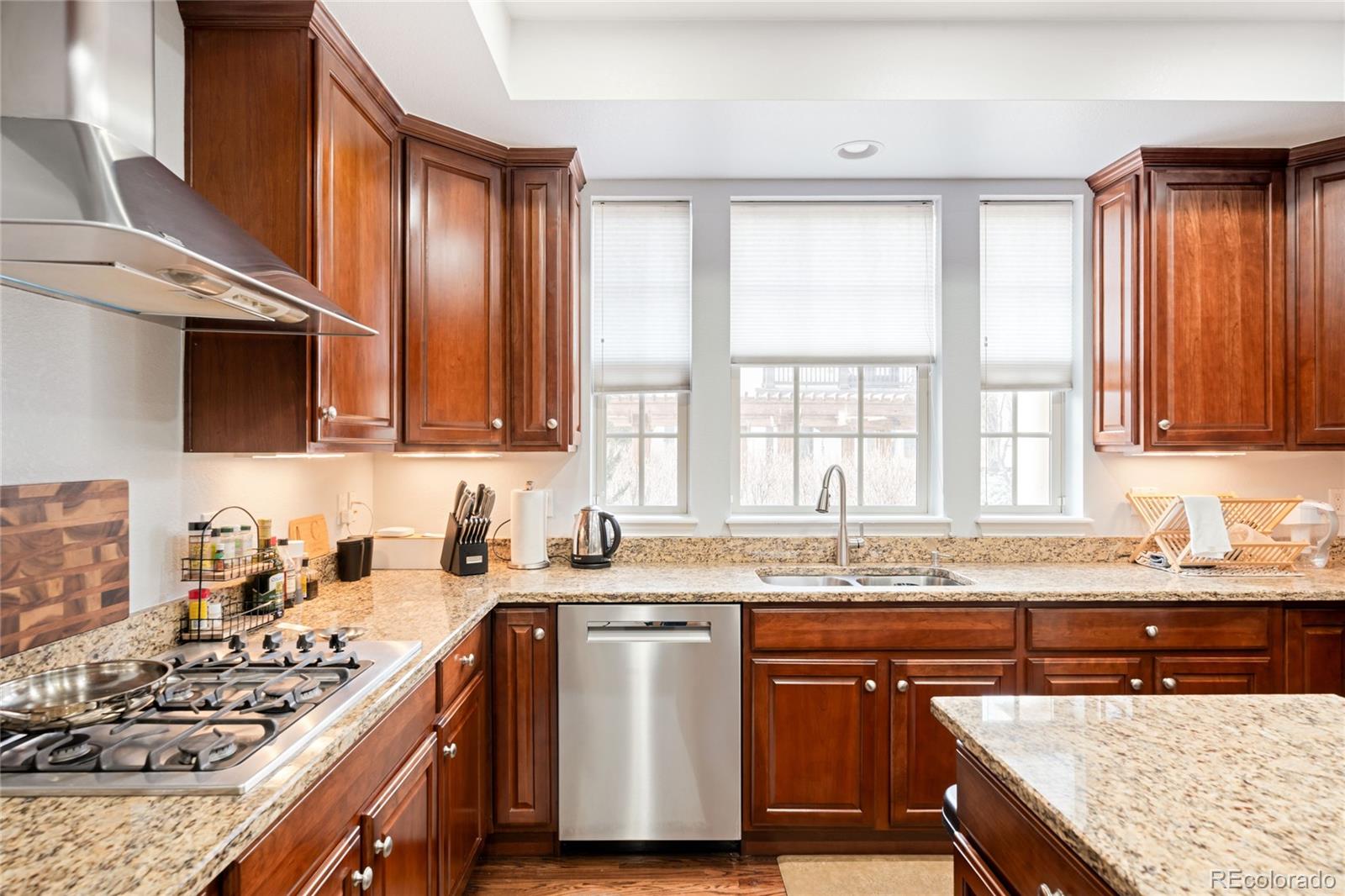 9135 E 29th Place Denver CO 80238