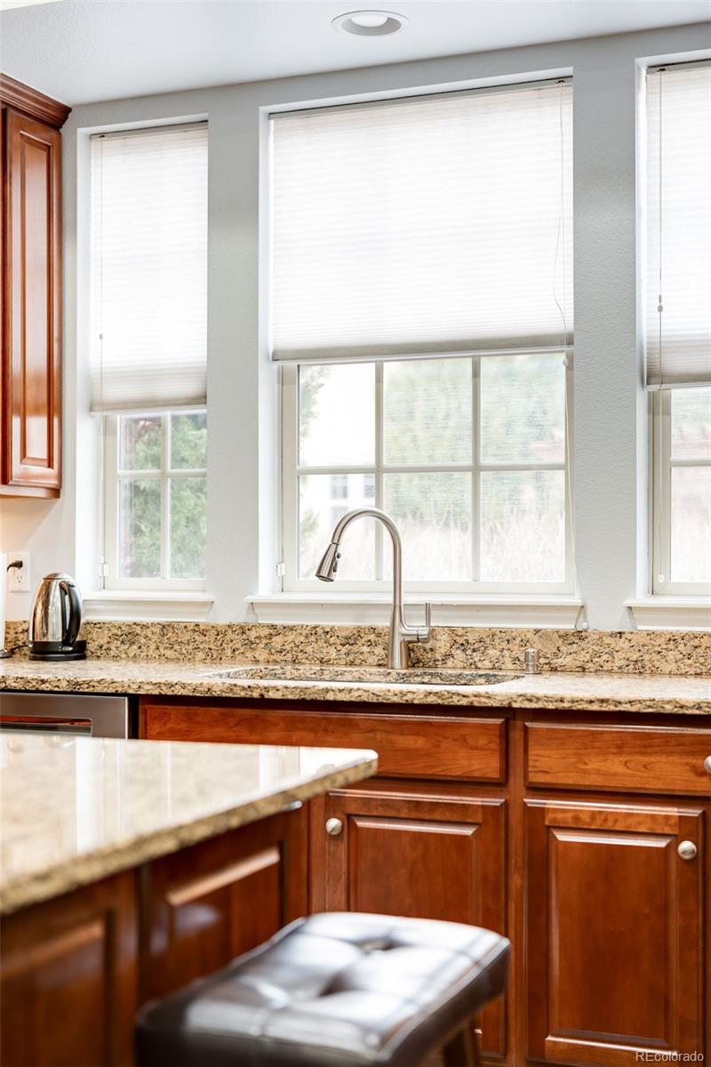 9135 E 29th Place Denver CO 80238