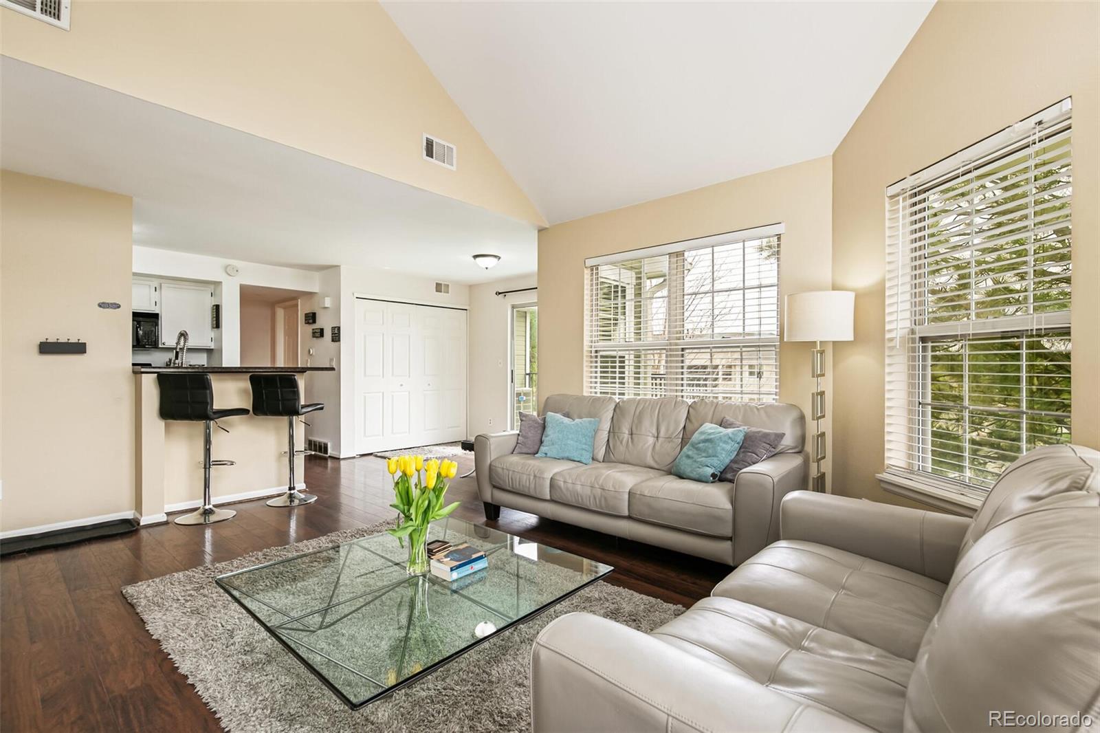 6776 S Ivy Street Centennial CO 80112