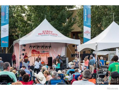 963 Reynolds Farm Lane Longmont CO 80503