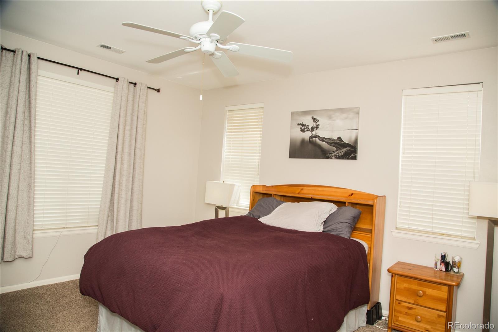 1574 Olympia Circle Castle Rock CO 80104