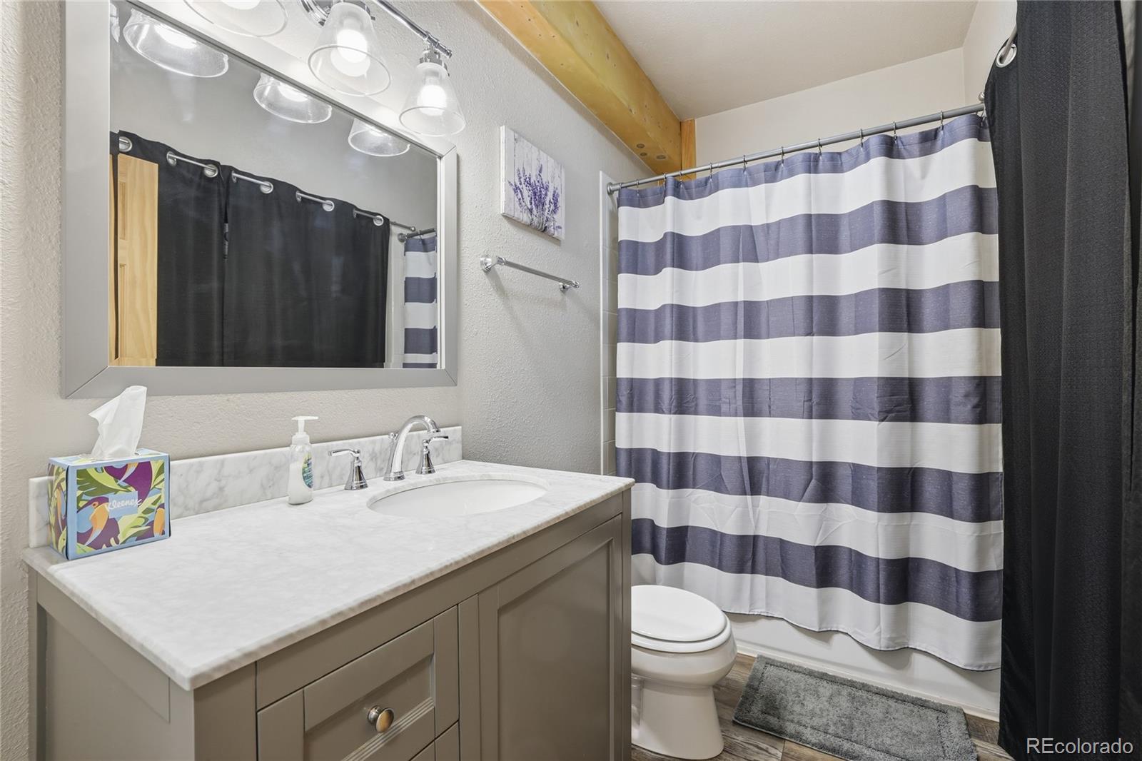 623 Cedar Lane Buena Vista CO 81211