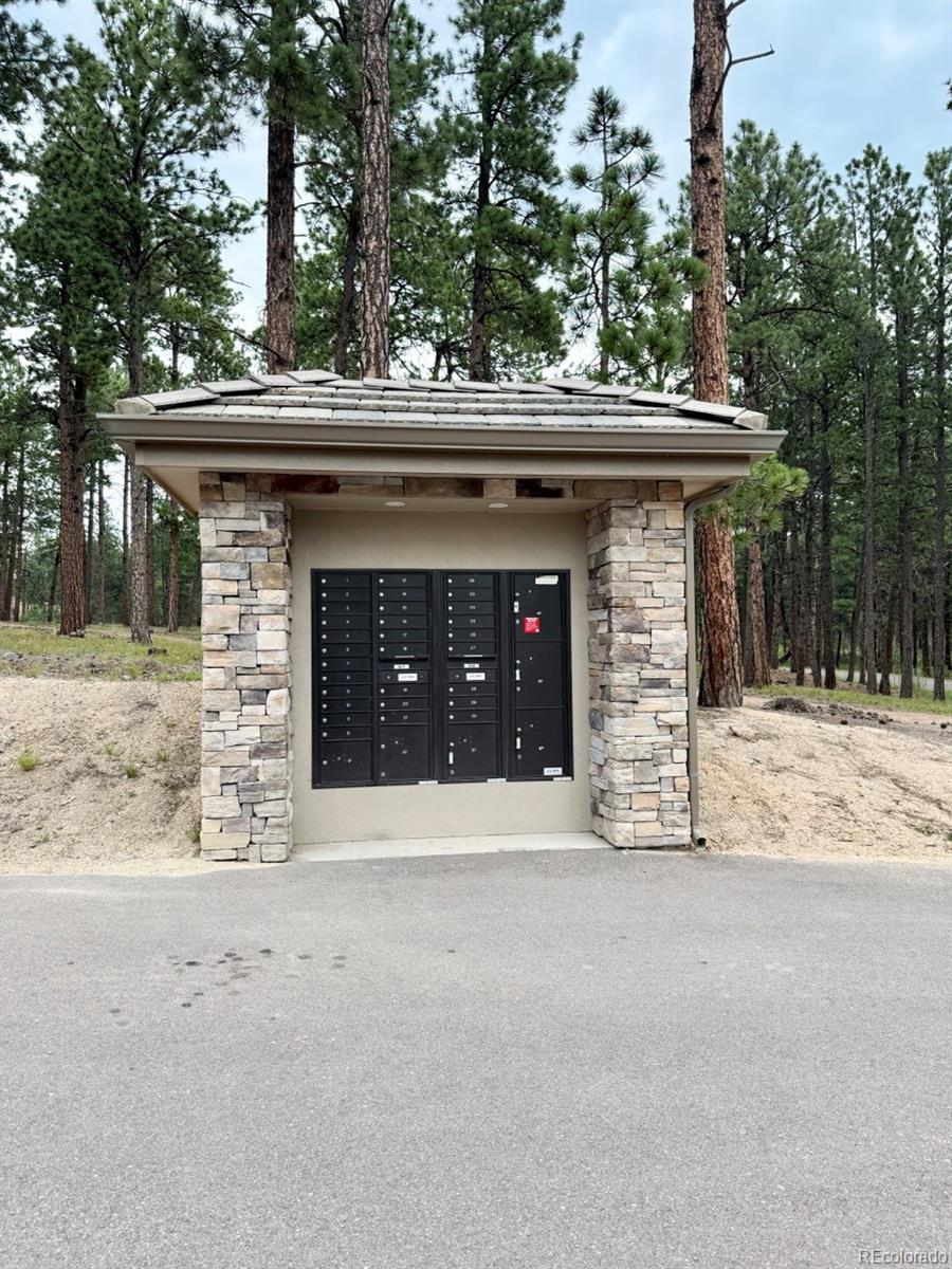 3145 Promise Point Colorado Springs CO 80921