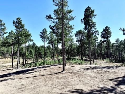 3145 Promise Point Colorado Springs CO 80921