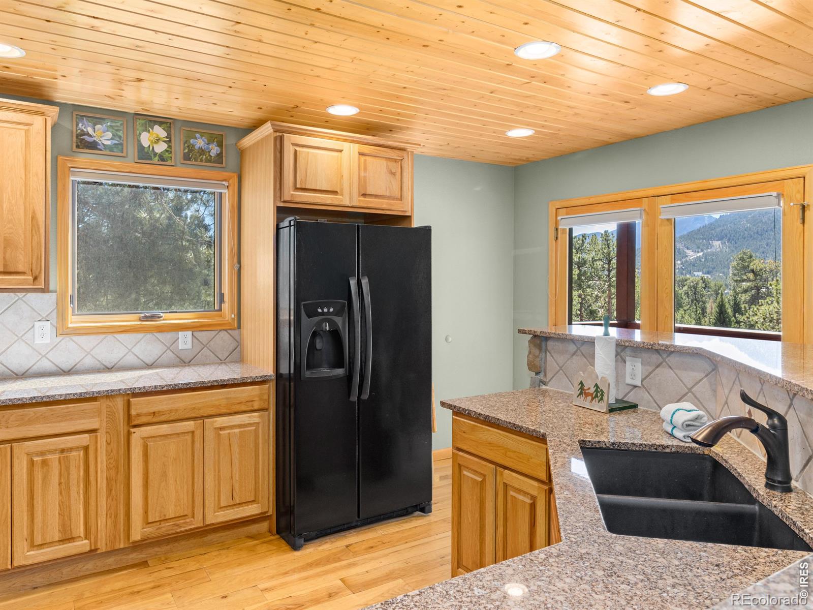 726 Black Canyon Drive Estes Park CO 80517