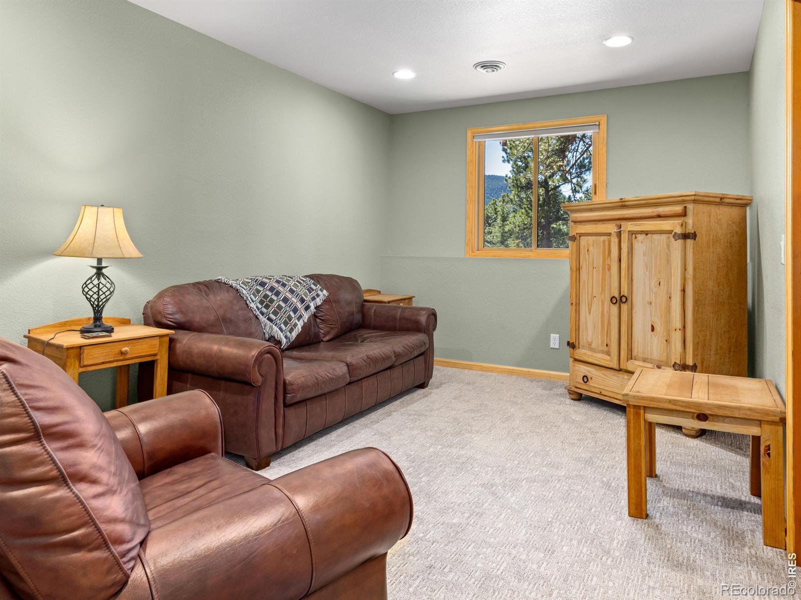 726 Black Canyon Drive Estes Park CO 80517