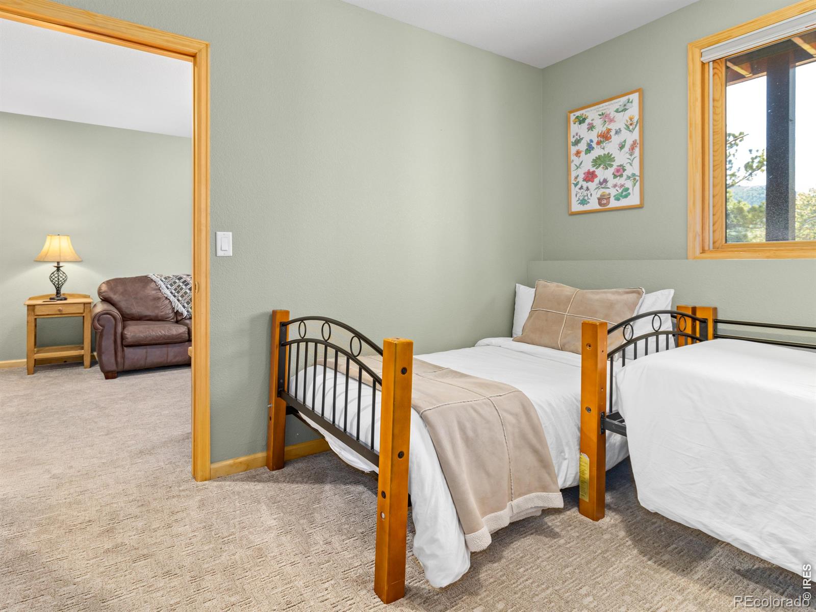 726 Black Canyon Drive Estes Park CO 80517