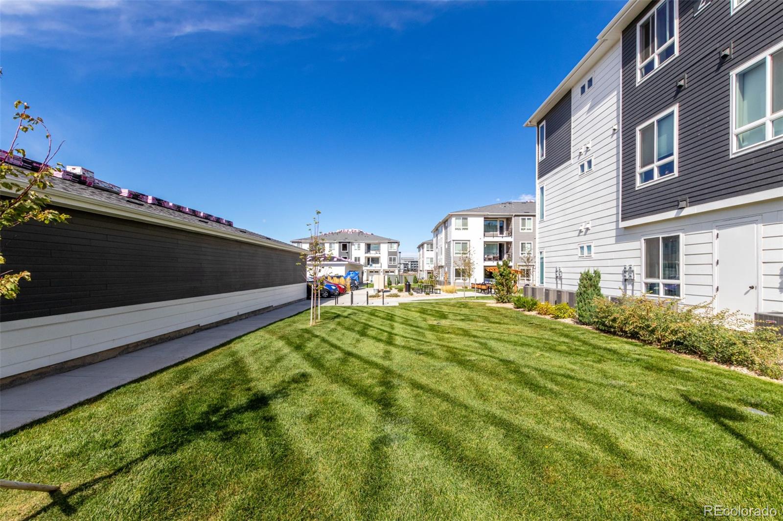 6153 N Ceylon Street Denver CO 80249